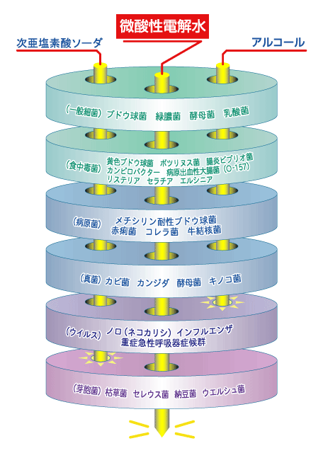 アルコール カンピロバクター