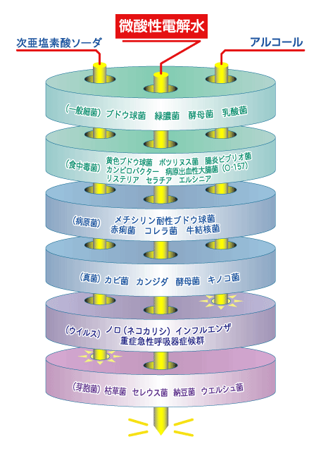 電解 水 ウイルス